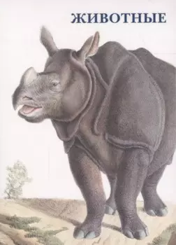 Животные. Набор открыток