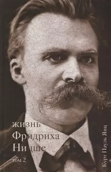 Жизнь Фридриха Ницше. Том 2
