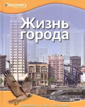 Жизнь города