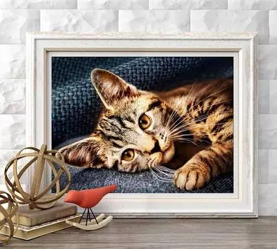 Алмазная вышивка «Барсик»