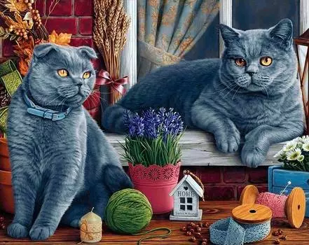 Алмазная вышивка «Британские котики»