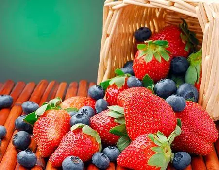 Алмазная вышивка «Голубика и клубника»