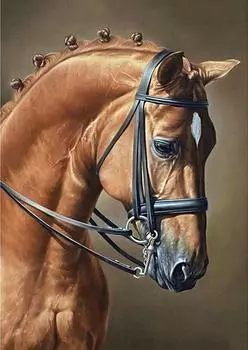 Алмазная вышивка «Конкур»