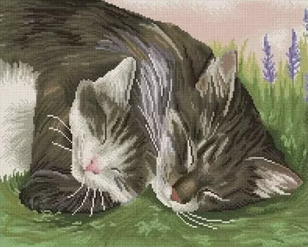 Алмазная вышивка «Кошачьи объятия»