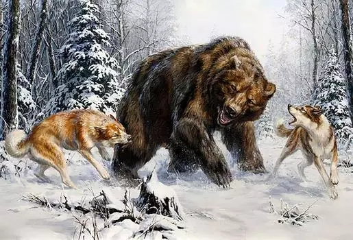 Алмазная вышивка «Лайки и медведь»