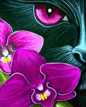 Алмазная вышивка «Лиловый взгляд»