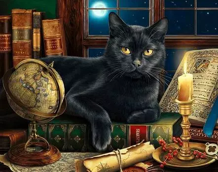 Алмазная вышивка «Мудрый кот»