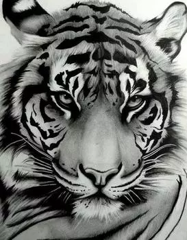 Алмазная вышивка «Мудрый взгляд»