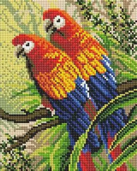 Алмазная вышивка «Попугаи»