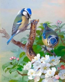 Алмазная вышивка «Птички»