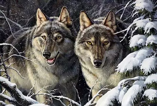 Алмазная вышивка «Разбойники»