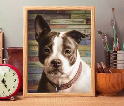 Алмазная вышивка «Стафф терьер»