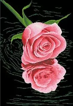 Алмазная вышивка «В отражении»