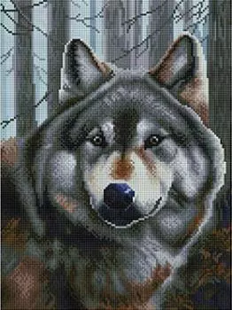 Алмазная вышивка «Волк»