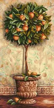Картина по номерам «Апельсиновое дерево»