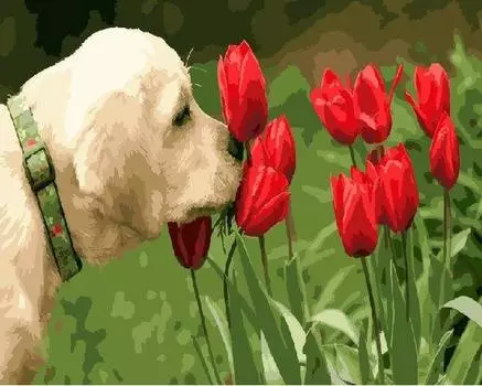 Картина по номерам «Аромат тюльпанов»