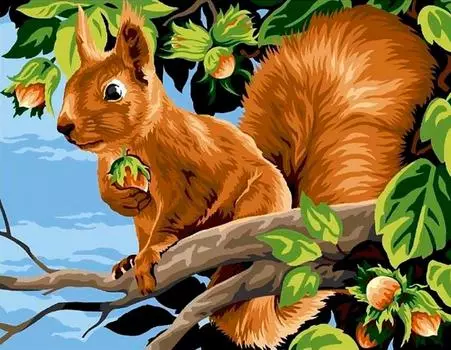 Картина по номерам «Белочка»