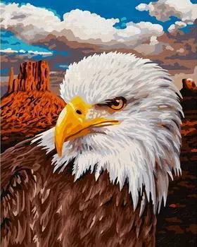 Картина по номерам «Белоголовый орел»