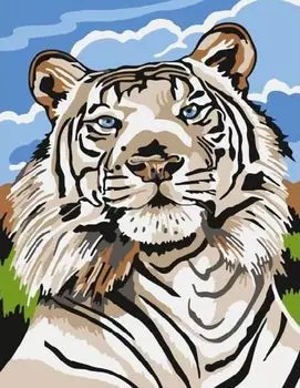 Картина по номерам «Белый тигр»