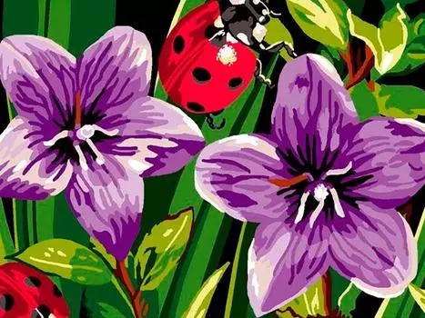 Картина по номерам «Божья коровка»