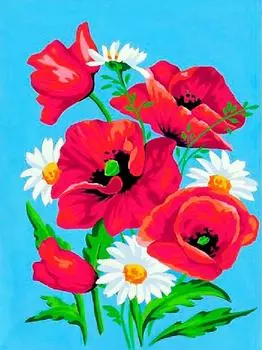 Картина по номерам «Букет маков и ромашек»
