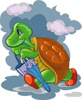 Картина по номерам «Черепаха с зонтиком»