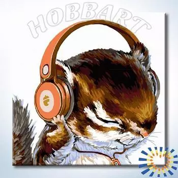 Картина по номерам «Диджей»