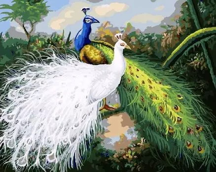 Картина по номерам «Два павлина»