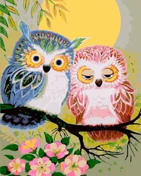 Картина по номерам «Две совы»
