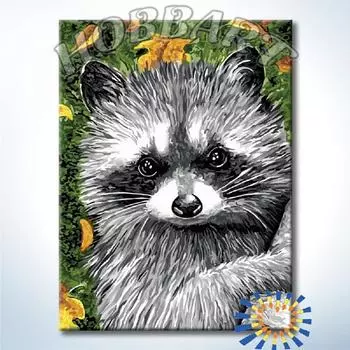 Картина по номерам «Енот»