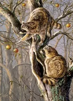 Картина по номерам «Еноты-верхолазы»