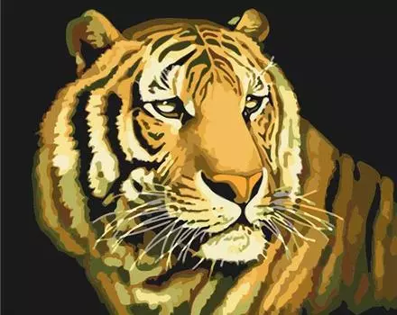 Картина по номерам «Гордый»