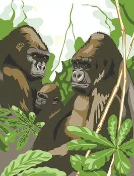 Картина по номерам «Гориллы»
