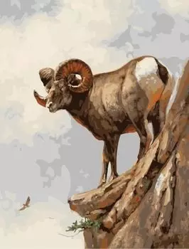 Картина по номерам «Горный баран»