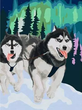 Картина по номерам «Хаски»