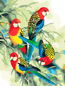 Картина по номерам «Игривые попугайчики»