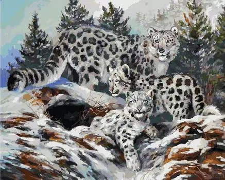 Картина по номерам «Ирбисы»