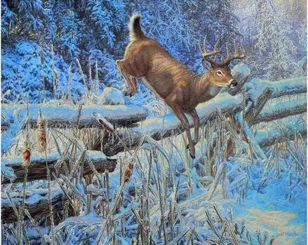 Картина по номерам «Искрящийся рассвет»