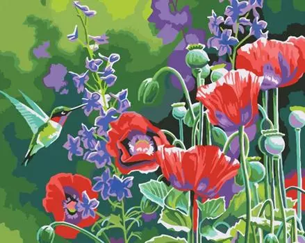 Картина по номерам «Колибри»