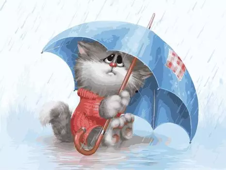 Картина по номерам «Кошарик под дождём»