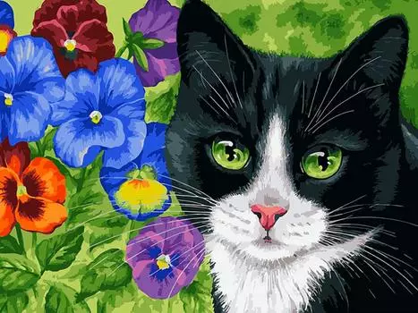 Картина по номерам «Кот в анютиных глазках»