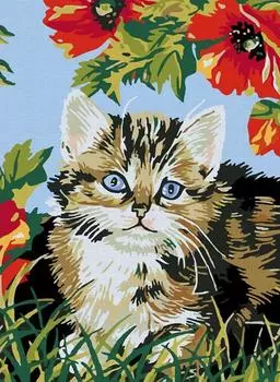 Картина по номерам «Котенок в цветах»