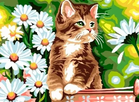 Картина по номерам «Котик в ромашках»