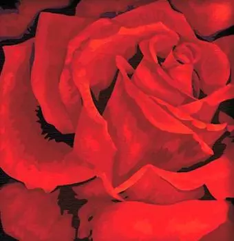 Картина по номерам «Красная роза»