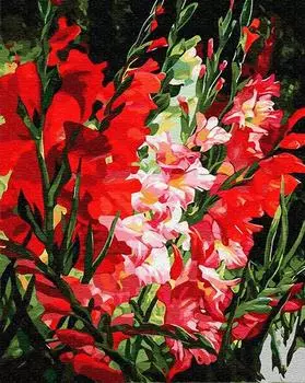 Картина по номерам «Красные гладиолусы»