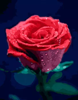 Картина по номерам «Красота розы»