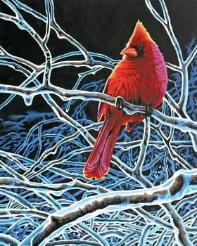 Картина по номерам «Ледяной кардинал»