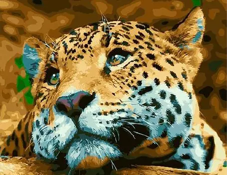 Картина по номерам «Леопард»