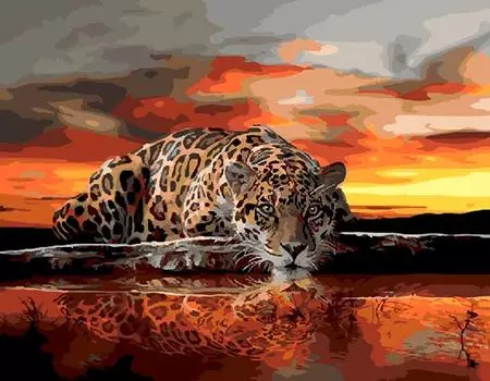 Картина по номерам «Леопард у воды»