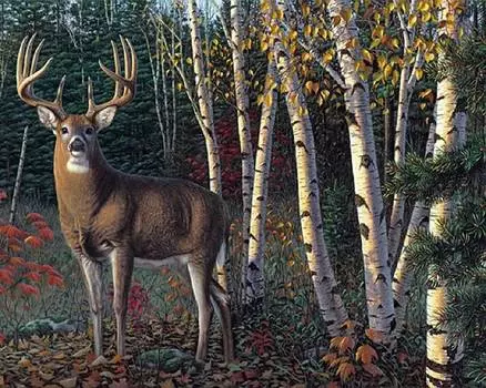 Картина по номерам «Лесной житель»